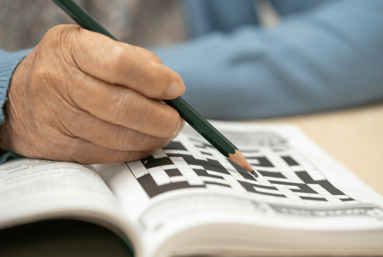 Diseño sin título - 2026-04-29T124444.014